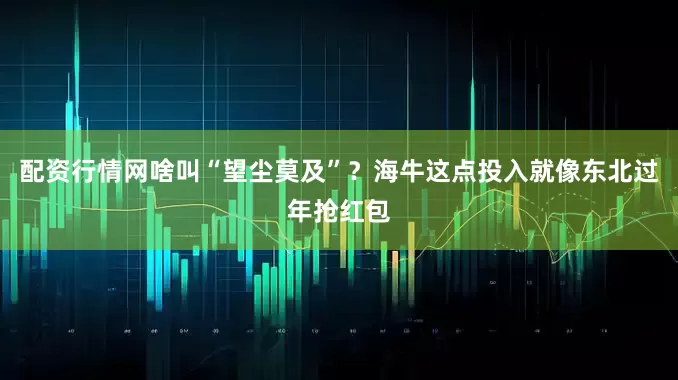 配资行情网啥叫“望尘莫及”？海牛这点投入就像东北过年抢红包
