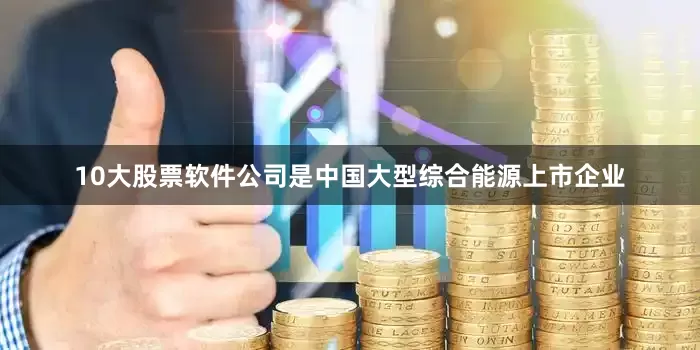 10大股票软件公司是中国大型综合能源上市企业