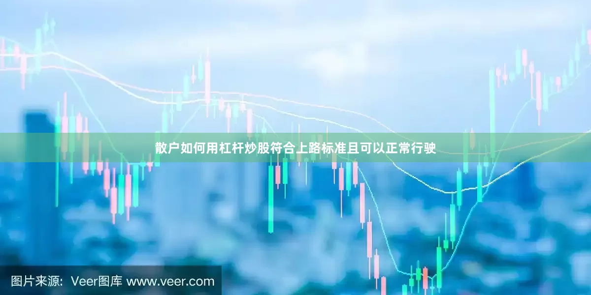 散户如何用杠杆炒股符合上路标准且可以正常行驶