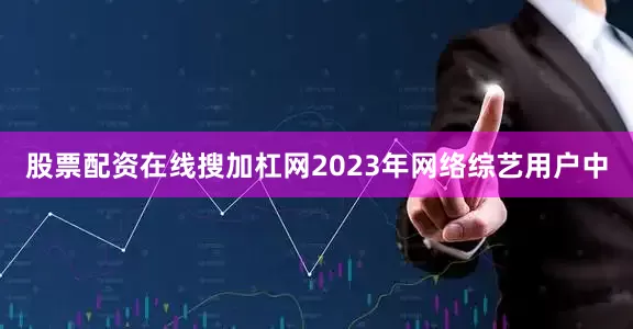股票配资在线搜加杠网2023年网络综艺用户中